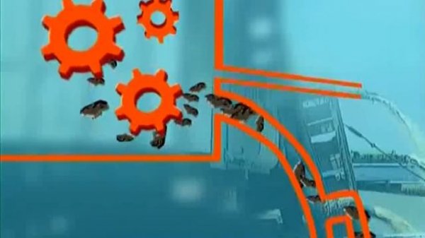 Галилео | Соль ️ Salt