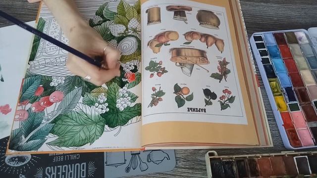 Тэг: привычки колориста смотреть онлайн