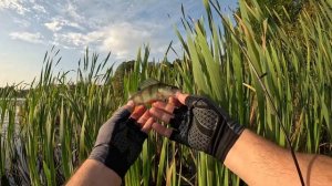 Мормышинг на улицах - Новое Девяткино, Токсово #мормышинг #стритфишинг #рыбалка