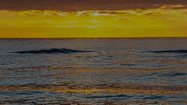 Tramonto A Viareggio смотреть онлайн