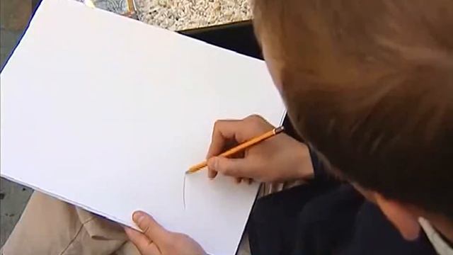 Галилео | Бонсай  Bonsai