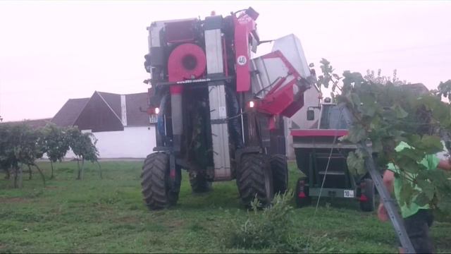 Traubenernte 2015 - ERO SF200 смотреть онлайн