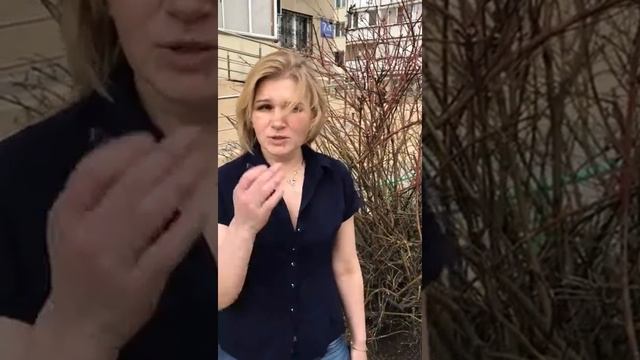 Отзыв о компании Scopula, Татьяна, Салон красоты Чародейка смотреть онлайн