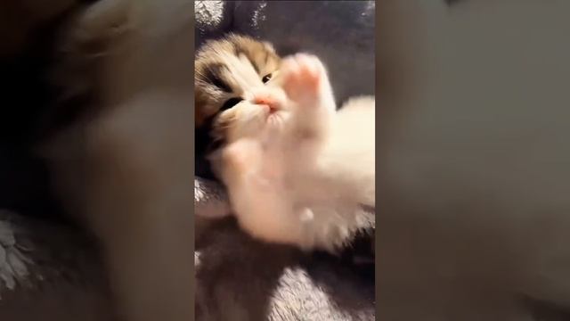 понедельник уходи