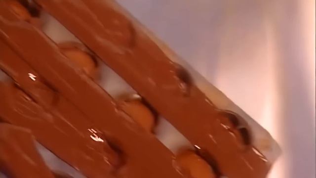 Галилео Бельгийские шоколадные конфеты с пралине смотреть онлайн