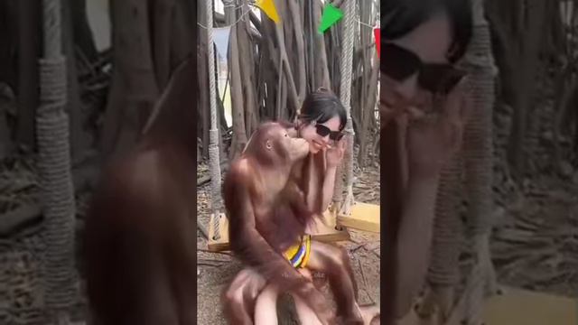 #видео #lol #пранк #юмор смотреть онлайн