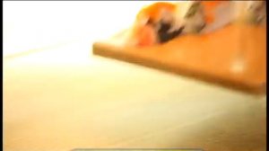 Галилео. Суши