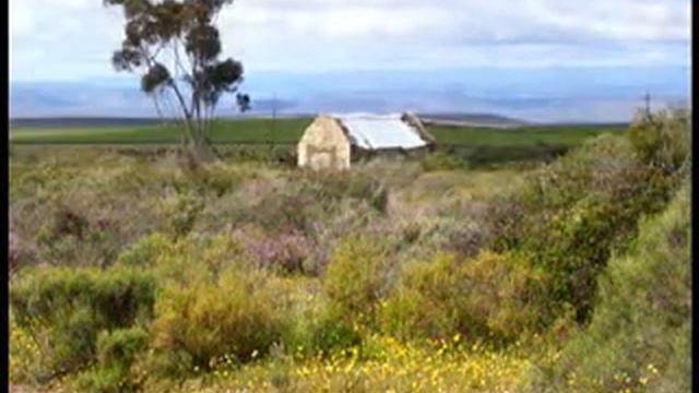 Die Weskus Wonder met IF смотреть онлайн