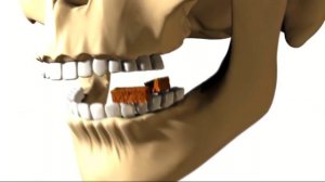 Галилео | Сухарики  [Crackers]