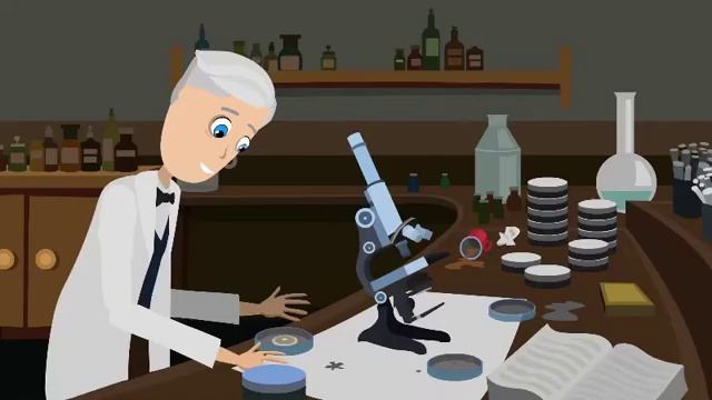 Focus 3 _2nd Edition_ Unit 6 Lesson 5 Video 26 GA (360p) смотреть онлайн