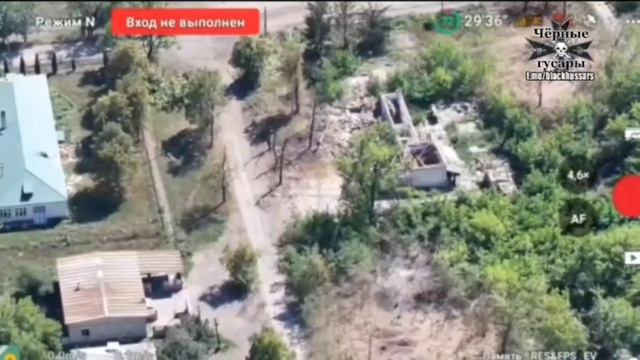 ⚡️СВО 18+ Бойцы Русской армии подняли триколор в н.п. Николаевка смотреть онлайн