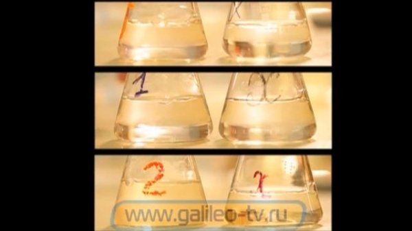 Галилео. Зарыбление