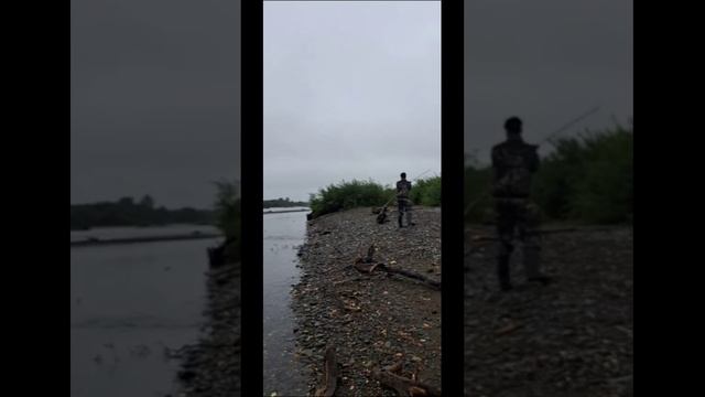 Ловля горбуши на воблеры 55 мм (6,2 гр) от Mr. Musurok