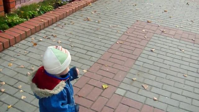 Вот и осень пришла. смотреть онлайн
