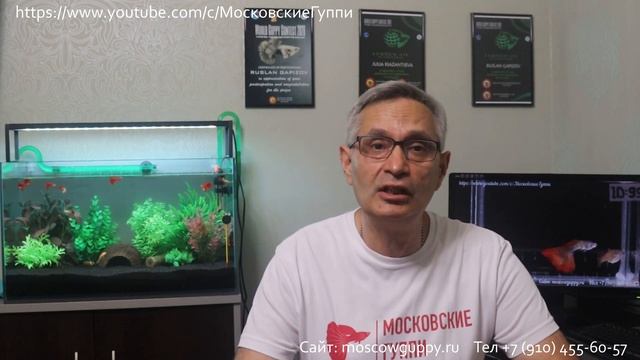КАЧЕСТВО ВОДЫ ДЛЯ АКВАРИУМА С ГУППИ / WATER QUALITY FOR AQUARIUM WITH GUPPIES смотреть онлайн