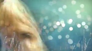 Превращение Винкс  "Мификс"  6сезон