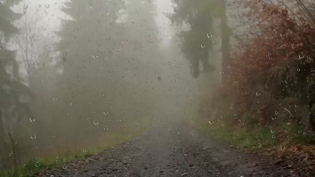 Трасса мертвых. смотреть онлайн