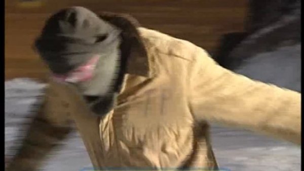 Галилео. Школа каскадеров Stunts school