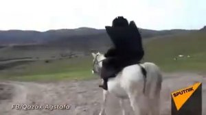 Kend heyati-92 yaşlı Tovuz sakini çoban Fərman kişi