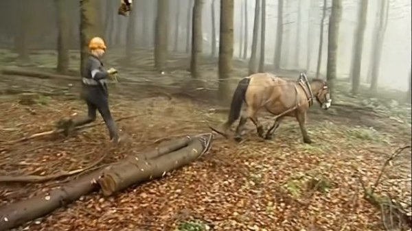 Галилео  Современные отшельники