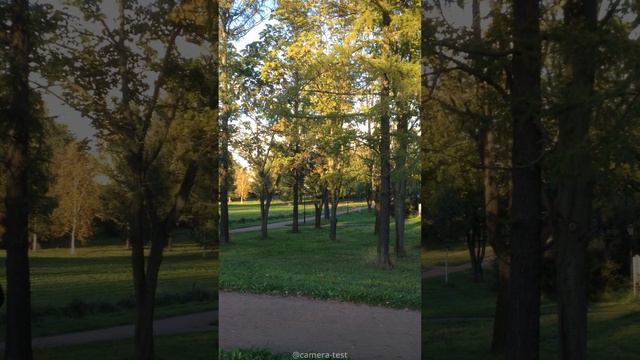 iPhone 4s (2024) - тест камеры смартфона (фото&видео)