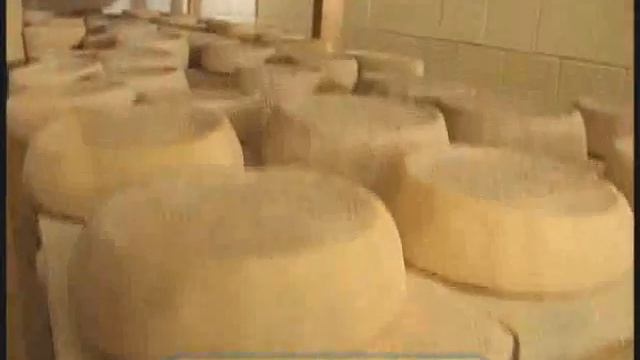 Галилео. Сырная ферма смотреть онлайн