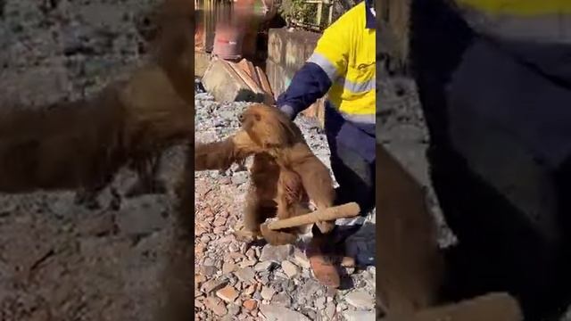 Гарри Поттер уже не тот смотреть онлайн