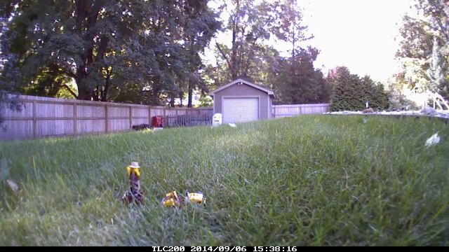 Dino Lego смотреть онлайн