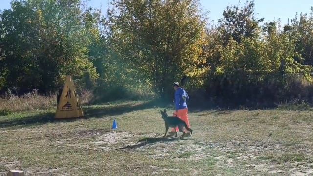 KAPRIS v. Haus Kseni - №39 / КЧК РОСТОВ-НА-ДОНУ 29 сентября`24