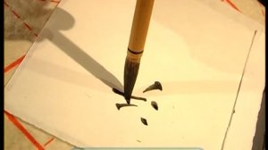 Галилео. Тетрадки