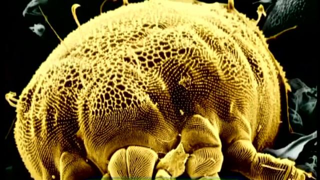 Галилео | Пыль [Dust] смотреть онлайн