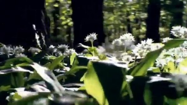 ОБЗОР ЗА КАНАЛ АНЖЕЛИКА СНЕЖИНСКАЯ