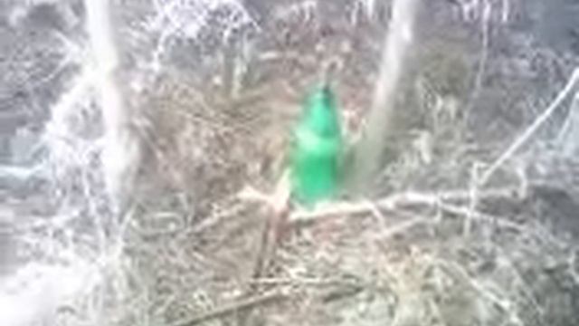 Джулия Ванг, Анатолий Русу, религия 