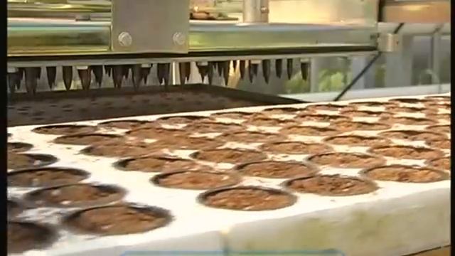 Галилео. Гидропоника Hydroponics смотреть онлайн