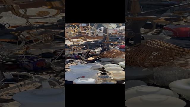 Прогулки, блошки