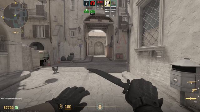 Чиловые напарники в CS 2 (8) смотреть онлайн