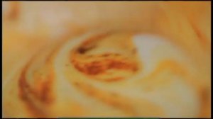 Галилео. Сливки, сметана, масло