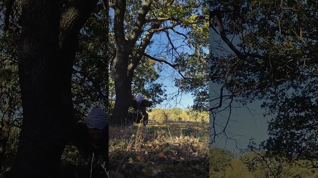 День 66 смотреть онлайн