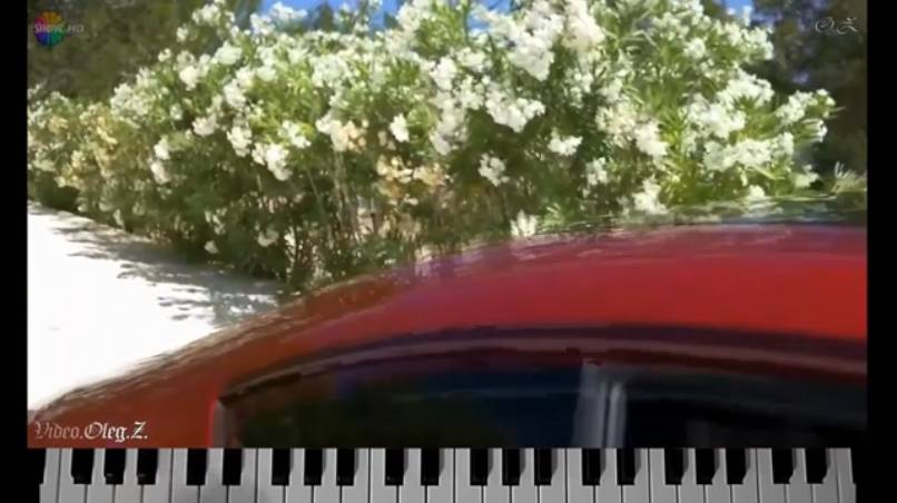 Modern Martina Он И Она смотреть онлайн