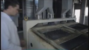 Галилео. Подсолнечное масло