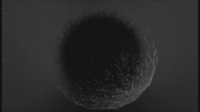 Лиса Улисса, Антон Смирнов — Частоты и амплитуды