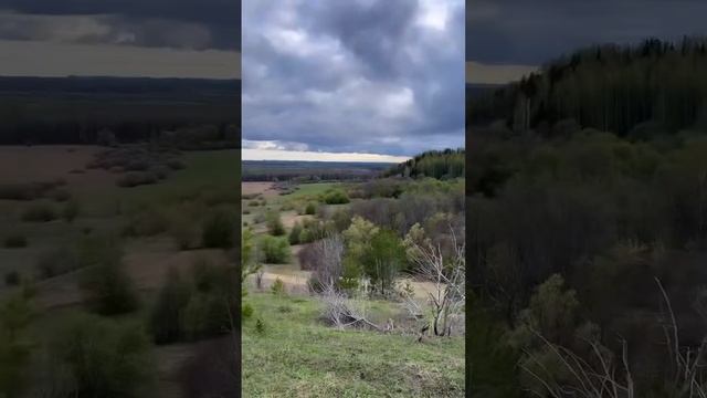 3 июня 2024 г.