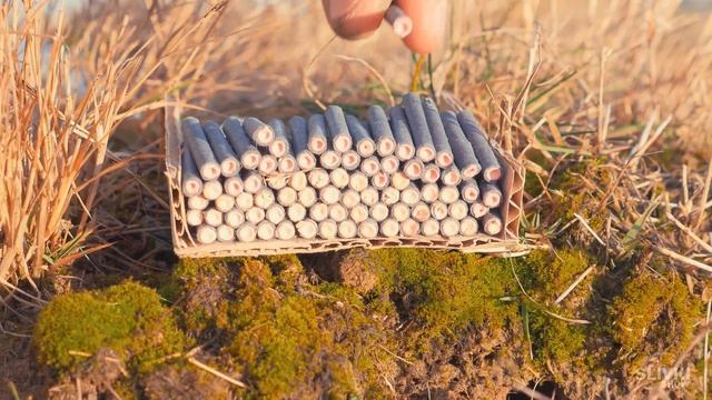 ЧТО БУДЕТ, ЕСЛИ ПОДЖЕЧЬ 100 000 ПЕТАРД смотреть онлайн