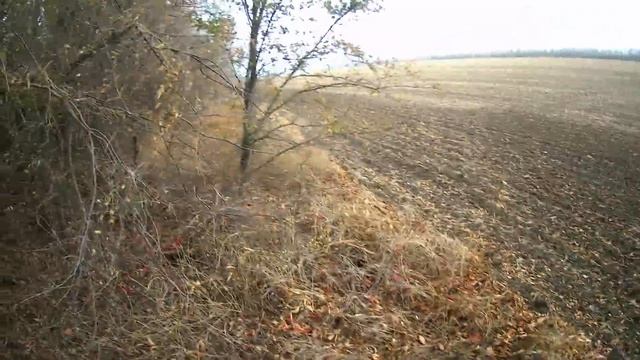 ОХОТА НА ЗАЙЦА - ОДИН ИЗ ОДНОГО смотреть онлайн