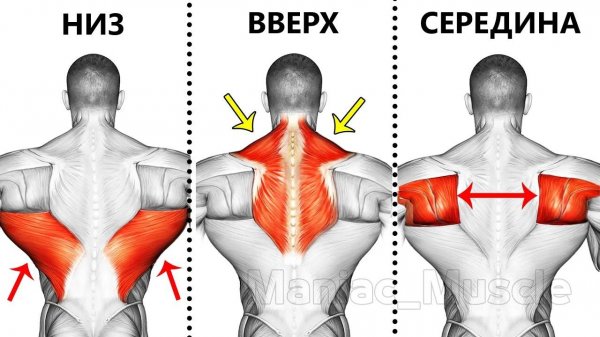 9 лучших упражнений на спину с гантелями, которые Вам нужно попробовать! 🔥