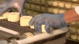 Галилео  Почему сыр пахнет носками?