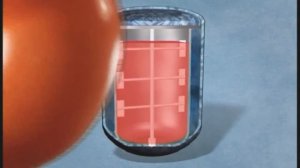 Галилео. Кетчуп