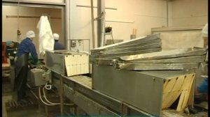 Галилео. Рыбзавод