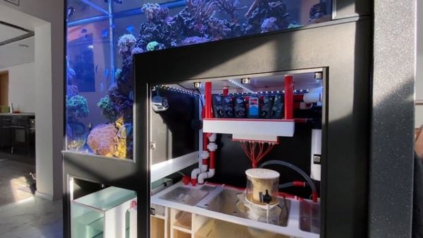 GERMAN REEF TANKS - *Drop off* - saltwater aquarium TOUR