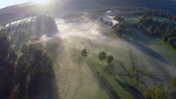 The Green Leaves Of Summer  ---  The Brothers Four  ---  trad.